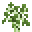 Grid Birch Sapling.png